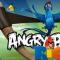 Angry Birds Rio üçün qızıl meyvələrin (banan, ananas, papaya, qarpız) yerləri!